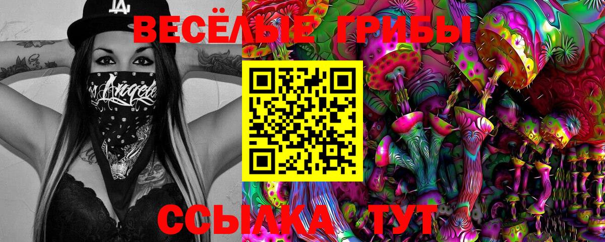 Псилоцибиновые грибы мицелий Железногорск