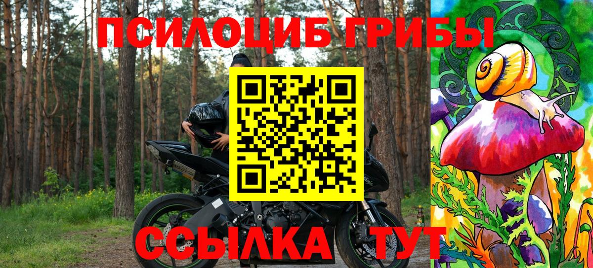 Псилоцибиновые грибы ЛСД  наркотики  Галлюциногенные грибы прущие грибы  Железногорск  Вход с VPN 